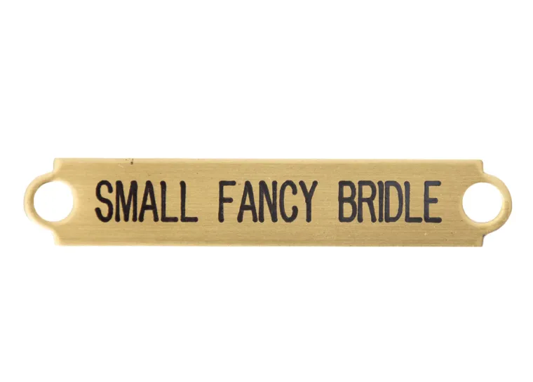 2-fancy-bridle-nameplate-hmpxMDEm-0.webp Hot DOVER DROPSHIP 2" Fancy Bridle Nameplate