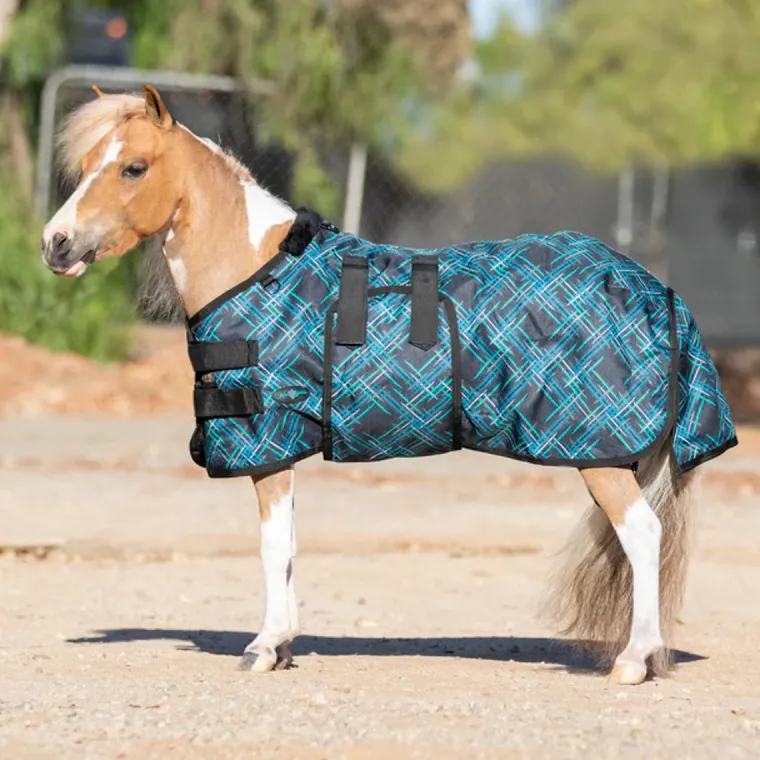 AiLINCuA_5.webp Discount KENSINGTON ™ Signature Mini Lightweight Turnout Blanket