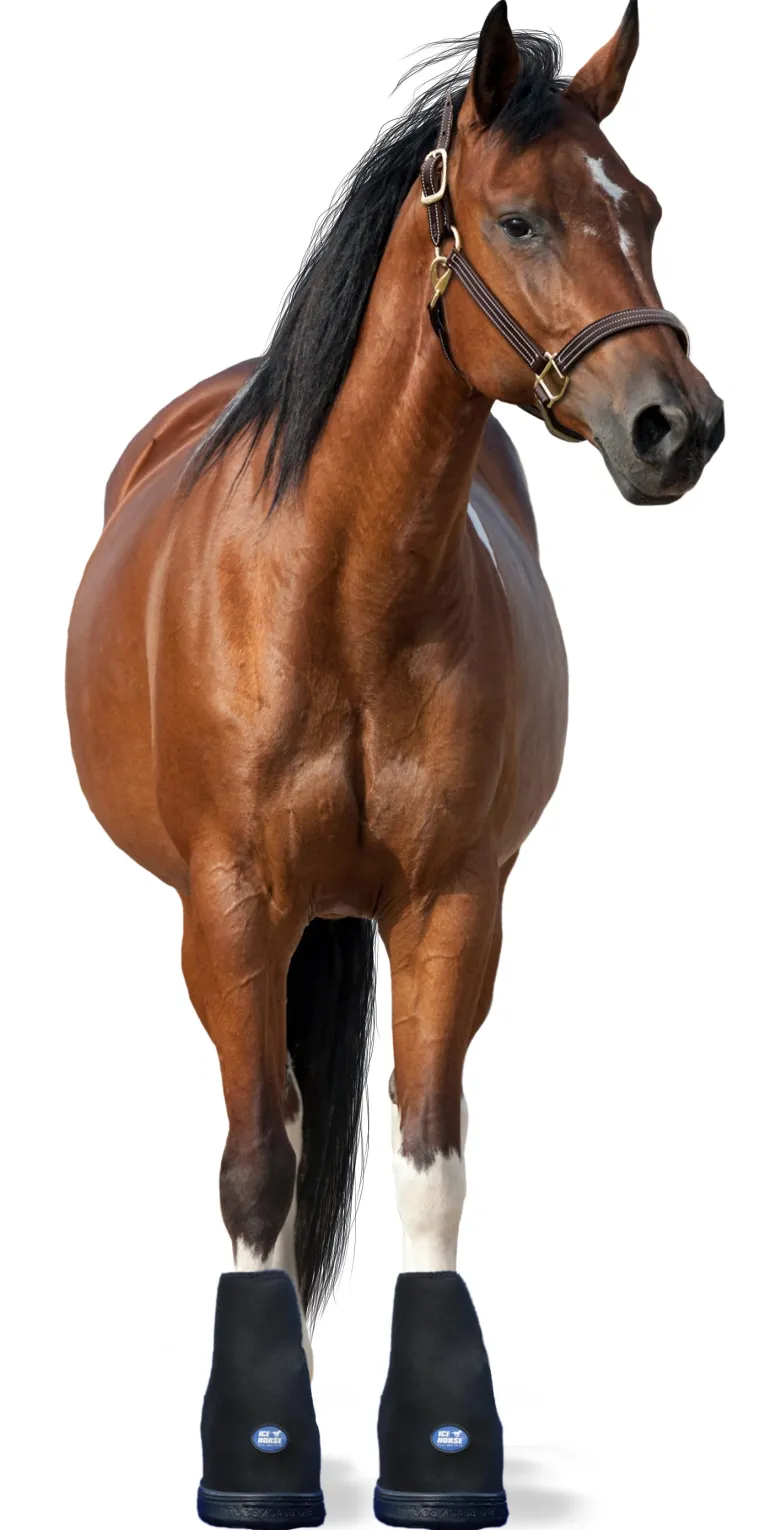 AriTlnYS_1.webp Fashion MACKINNON Ice Horse® Hoof Boot - Pair