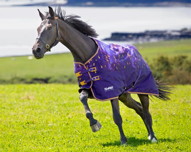 BKFCAYDO_2.webp Best SHIRES EQUESTRIAN Shires Tempest Original Lite Turnout Sheet