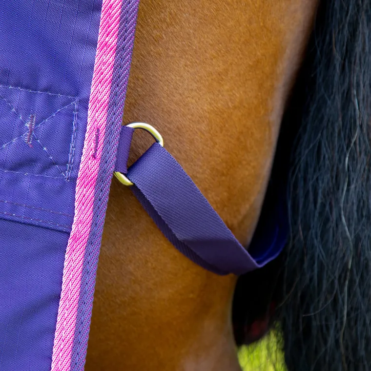 BKFCAYDO_9.webp Best SHIRES EQUESTRIAN Shires Tempest Original Lite Turnout Sheet