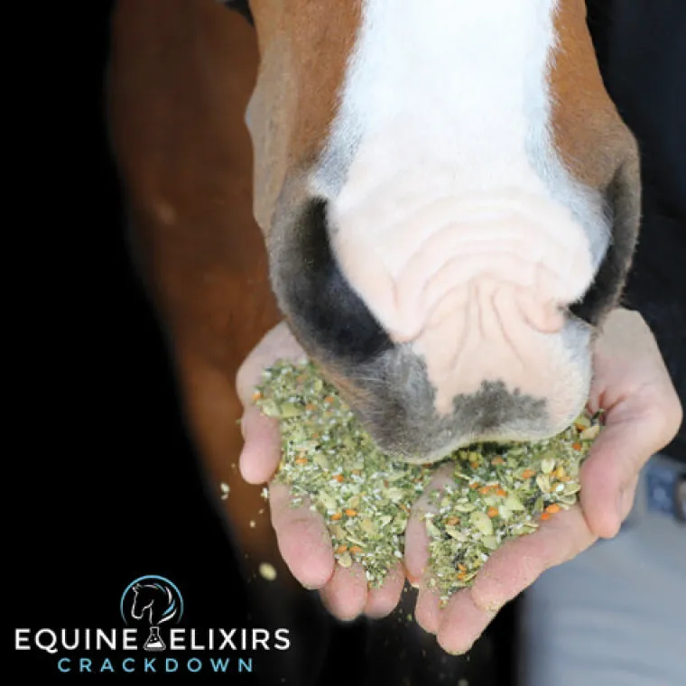 BWpWmOVP_2.webp New EQUINE ELIXIRS INC Equine Elixirs Crackdown®