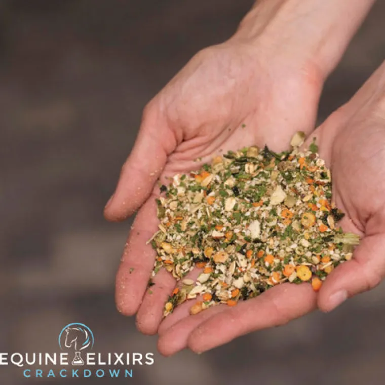 BWpWmOVP_4.webp New EQUINE ELIXIRS INC Equine Elixirs Crackdown®