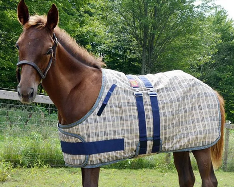 BYvbxVMP_0.webp Discount JACKS MFG 5/A Baker® Expand-O-Blanket Turnout for Foal & Pony Baker Plaid