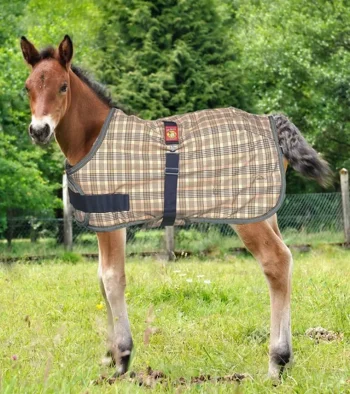 Discount JACKS MFG 5/A Baker® Expand-O-Blanket Turnout for Foal & Pony Baker Plaid