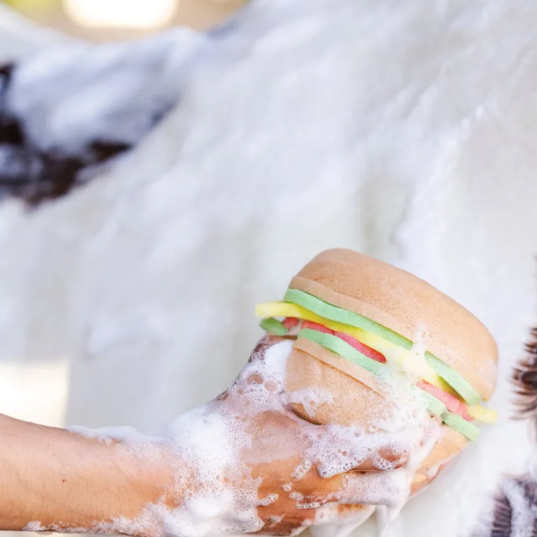 CGrgKCYV_2.webp Online DREAMERS N SCHEMERS The Tack Hack Burger Body Sponge Mixed