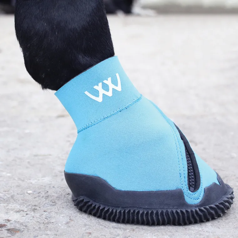 CLMyhgKK_1.webp Fashion TOKLAT ORIGINALS Woof Wear Medical Hoof Boot Blue