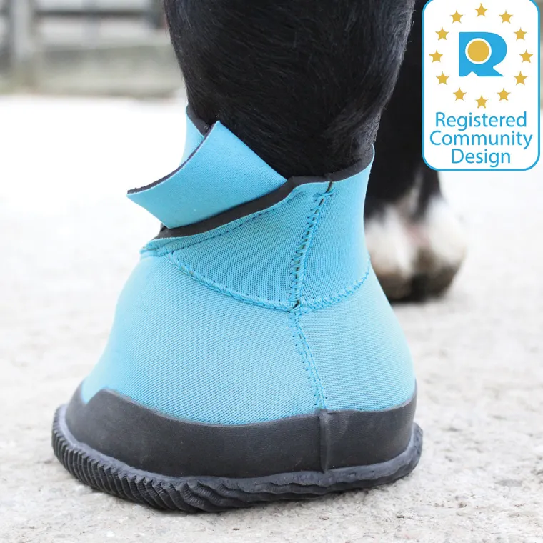 CLMyhgKK_3.webp Fashion TOKLAT ORIGINALS Woof Wear Medical Hoof Boot Blue