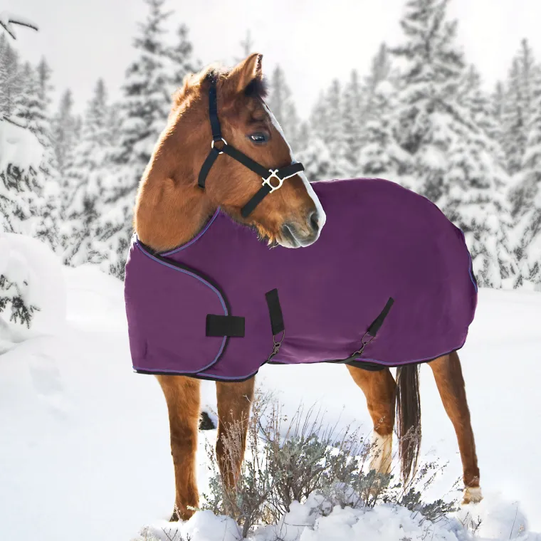 DXfyVDSN_1.webp Online KENSINGTON ™ Signature Adjustable Yearling Turnout Blanket