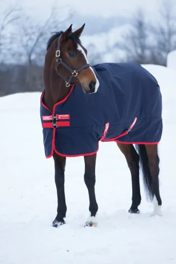 Sale HORSEWARE ® Ireland Rambo® Original 1000D Medium-Weight Turnout Blanket–200G Navy/Red
