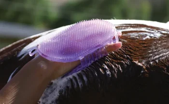 Best PROFESSIONALS CHOICE Tail Tamers® Jelly Scrubber Mitt