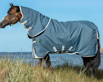 Hot HORSEWARE ® Ireland Amigo® AmEco 12 Plus Turnout Sheet Teal/Grey