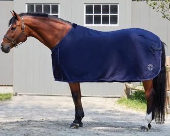 Hot TEXT HORSE DS Awards Cooler Navy