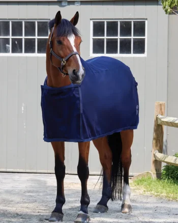 Hot TEXT HORSE DS Awards Cooler Navy