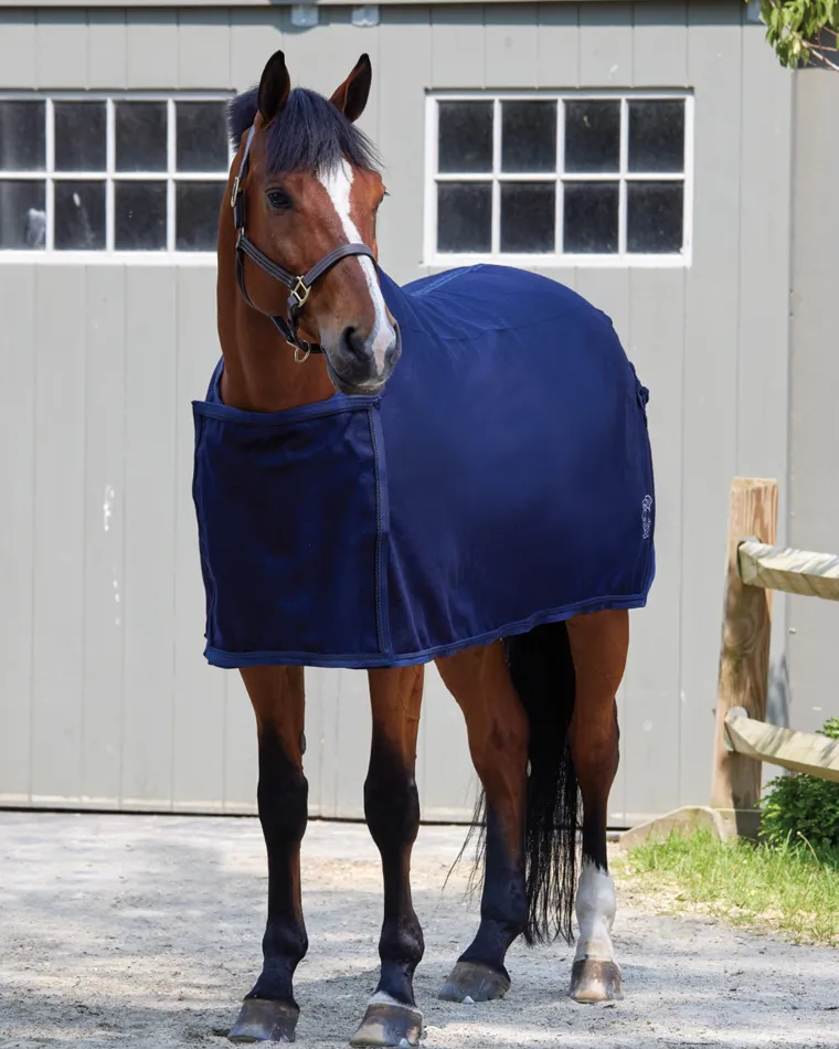 EIbCGyHr_1.webp Hot TEXT HORSE DS Awards Cooler Navy