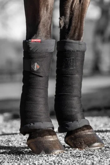 Online HORSE HEALTH TRADE LeMieux® Stable Bandages Black