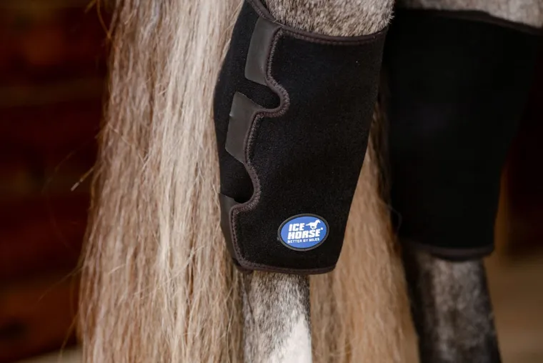 EQhNWSbO_1.webp Sale MACKINNON Ice Horse® Pony Hock Wrap Black