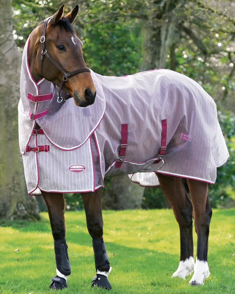 EWvWvMpH_1.webp Clearance WEATHERBEETA ® ComFiTec™ Ripshield Detach-A-Neck Fly Sheet