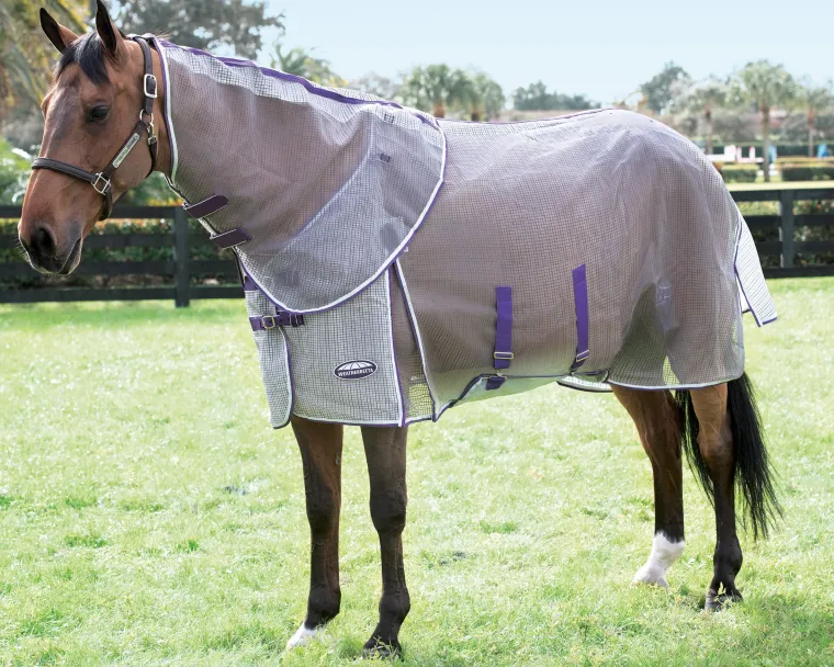 EWvWvMpH_2.webp Clearance WEATHERBEETA ® ComFiTec™ Ripshield Detach-A-Neck Fly Sheet