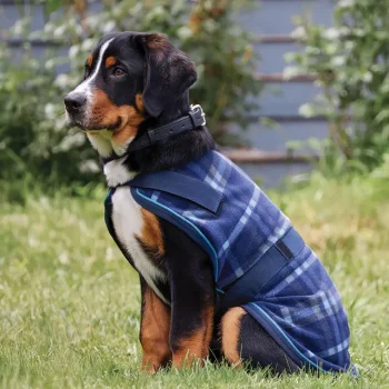 Best INTEX EQUESTRIAN Rider’s International™ Dog Cooler Navy Plaid