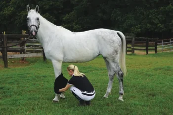 New STERLING CREEK Supa Towel Black