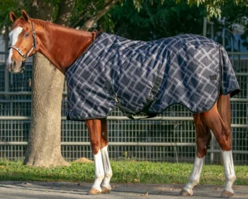 Hot KENSINGTON ™ Signature Lightweight Turnout Blanket