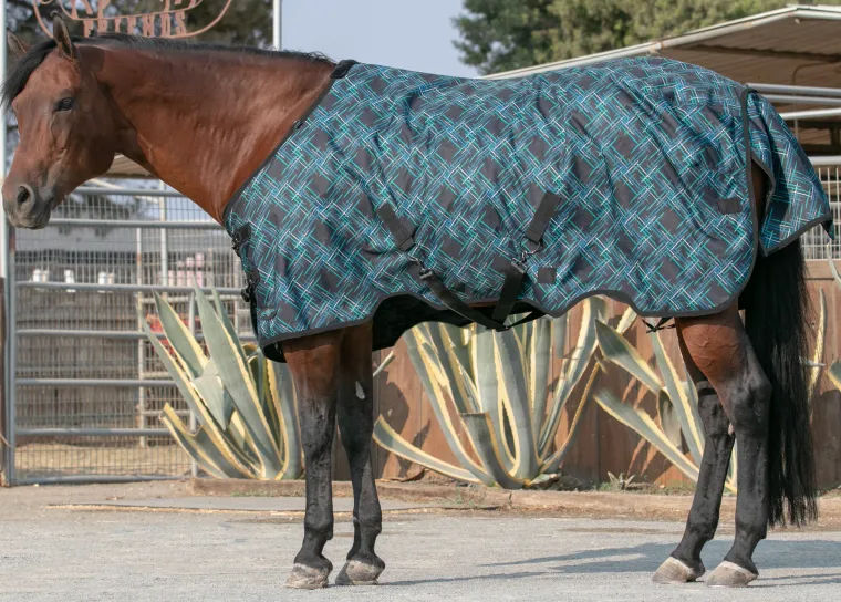 FVfeJVTf_2.webp Hot KENSINGTON ™ Signature Lightweight Turnout Blanket
