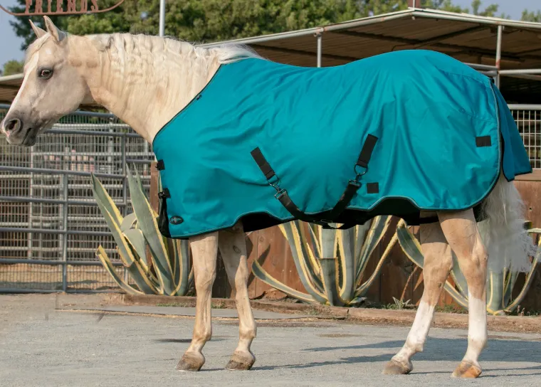 FVfeJVTf_8.webp Hot KENSINGTON ™ Signature Lightweight Turnout Blanket