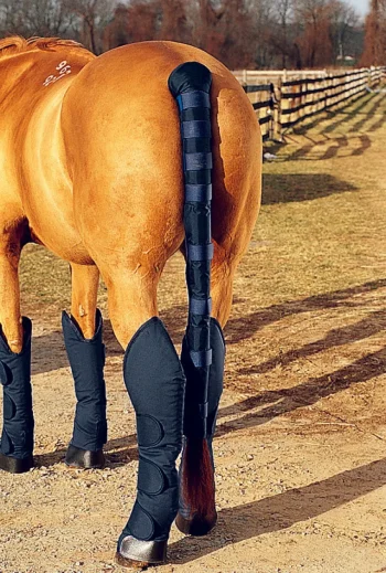 Sale KING YOUNG DS Pro Padded Tail Wrap & Bag Combo