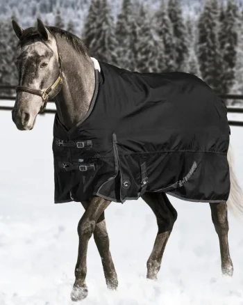 New CWEAR BRANCH Rider’s International™ Supreme Medium-Weight Turnout Blanket