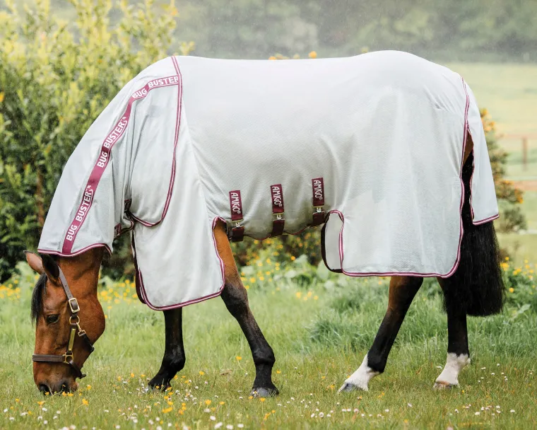 HWXFcWkY_3.webp Outlet HORSEWARE ® Ireland Amigo® Bug Buster® with No-Fly Zone™ Silver/Burgundy