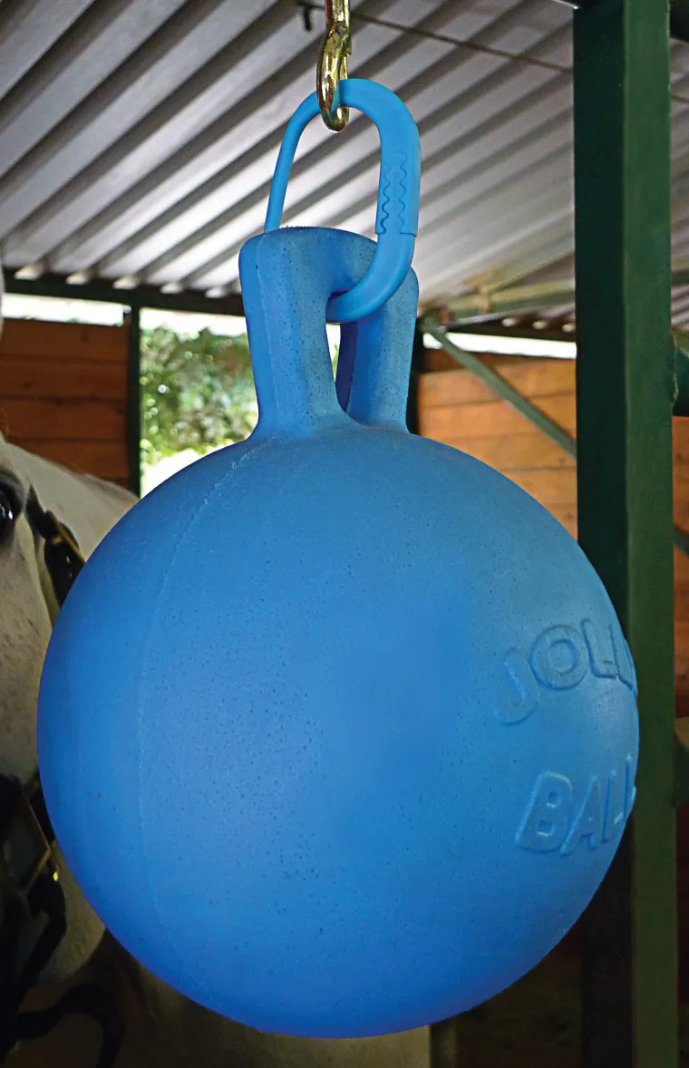 HXvjBCkl_6.webp Discount KENSINGTON Safe-T-Tie Two-PACK