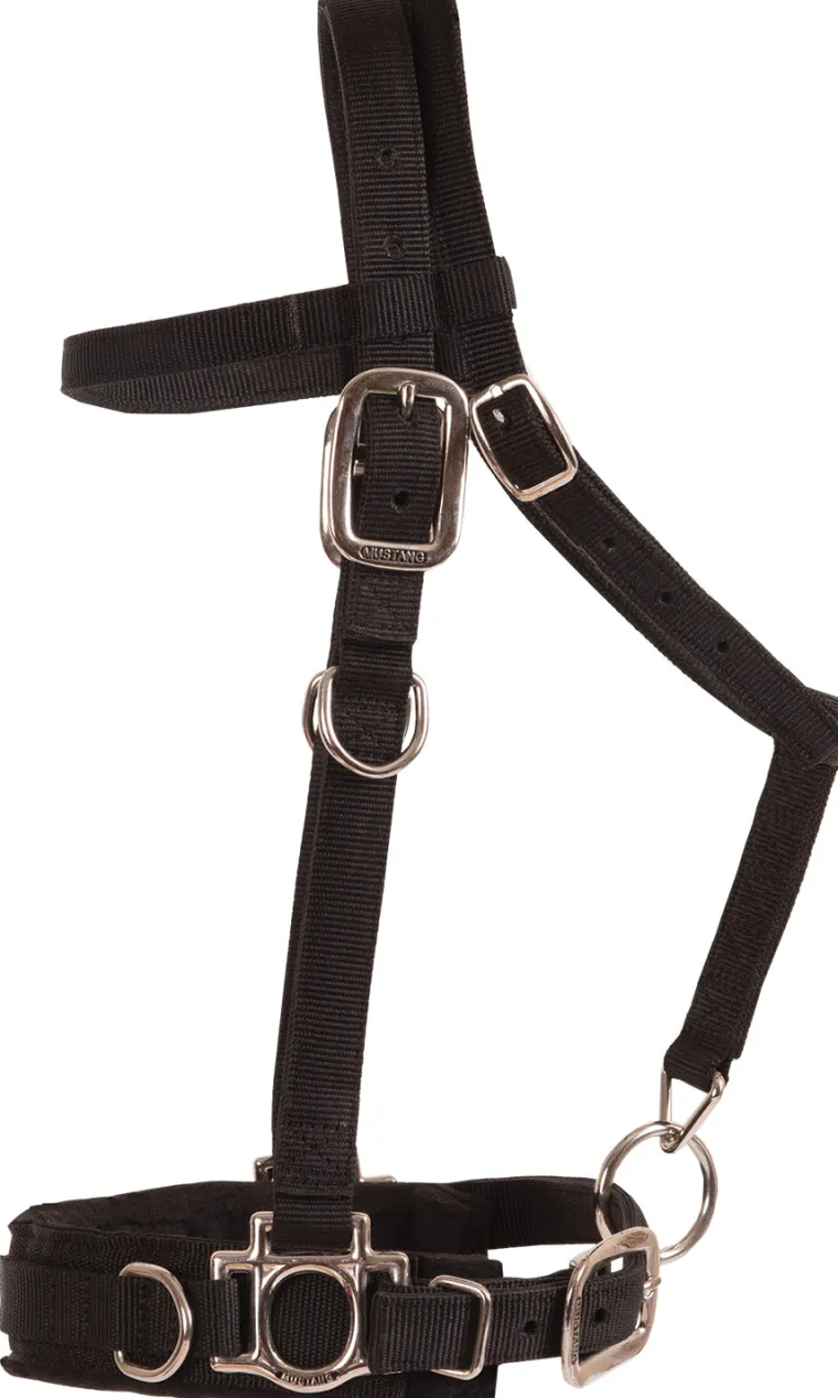 HkMUucpb_4.webp Clearance MUSTANG MFG Balance Complete Training System Brown