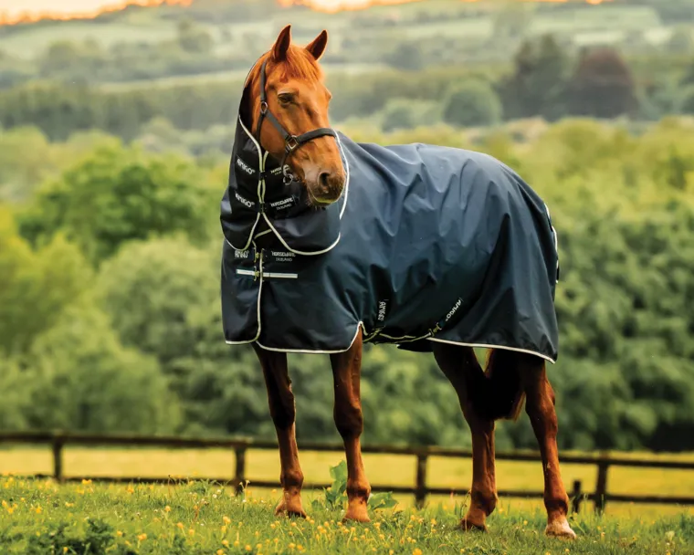 IGjkfUdh_1.webp Best HORSEWARE ® Ireland Amigo® Ripstop 900D 200 Grams Plus Pony Turnout
