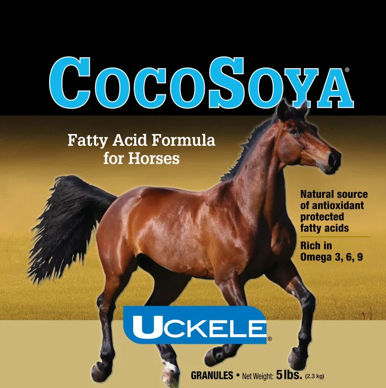 IkpocPYw_2.webp Online ANIMAL HEALTH INT CocoSoya® Granular by SmartEquine™ - 5 lbs.