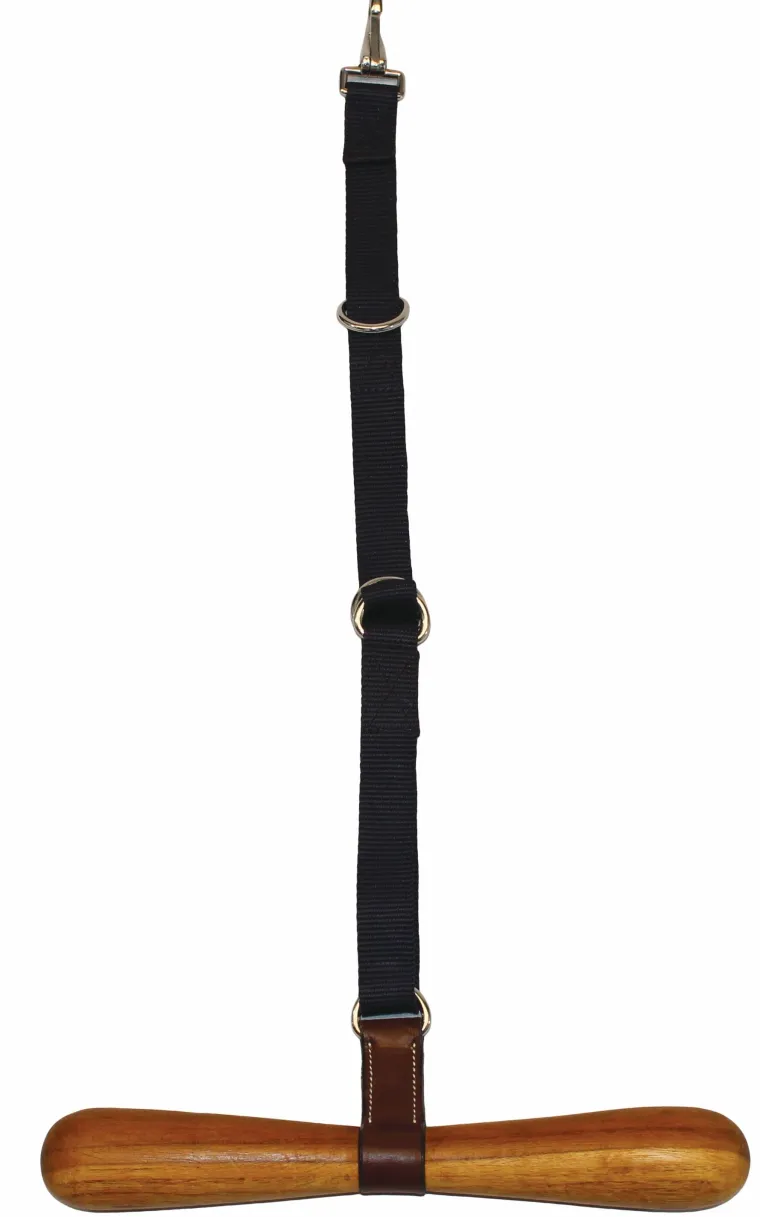 IrENpeAF_0.webp New TEXT HORSE Saddle T