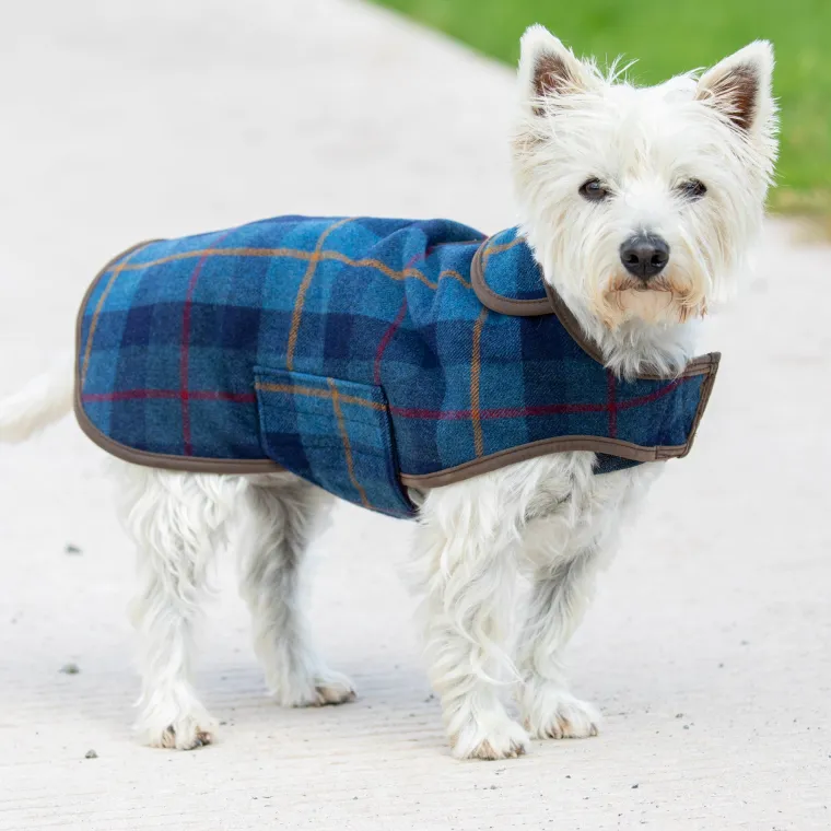 JVRugyFT_3.webp Sale SHIRES EQUESTRIAN Shires Digby & Fox Tweed Dog Coat