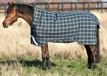 Online HORSEWARE ® Ireland Rhino® Heavyweight Wug with Vari-Layer®