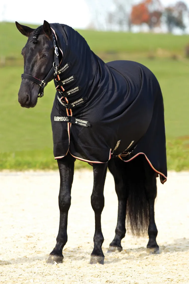 JpvvcmXI_2.webp New HORSEWARE ® Ireland Rambo® Dustbuster