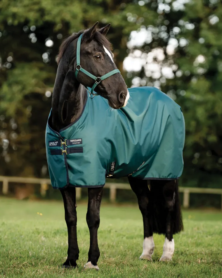 JtsHVlfk_0.webp Outlet HORSEWARE ® Ireland Amigo® Ripstop 900D 50 Gram Standard Neck Turnout Dynasty Green/Navy/Silver
