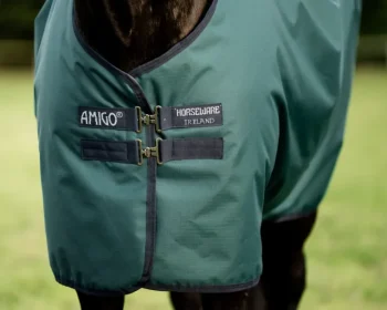 Outlet HORSEWARE ® Ireland Amigo® Ripstop 900D 50 Gram Standard Neck Turnout Dynasty Green/Navy/Silver