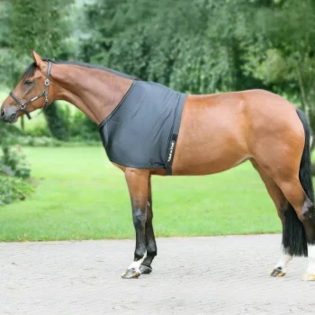 Fashion BACK ON TRACK BOT LL Back on Track® Therapeutic Equine Shoulder Guard with Pads Black