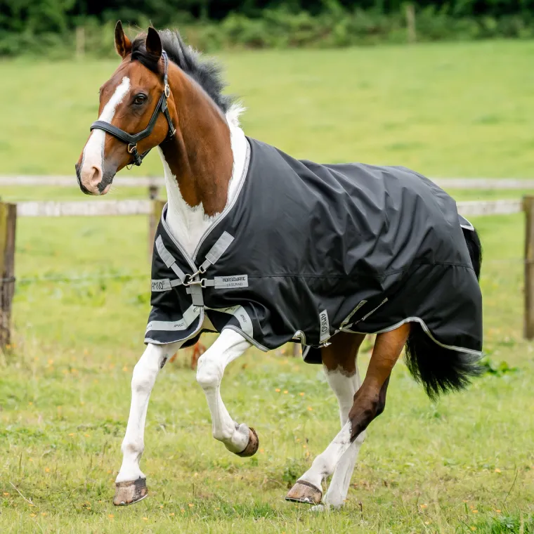 KIbamwxZ_0.webp New HORSEWARE ® Ireland Amigo® 1200D Turnout Standard Neck