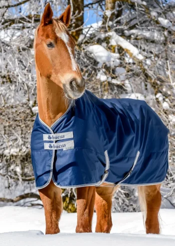 Sale TOKLAT ORIGINALS Bucas Freedom Extra Heavy Turnout Blanket Navy