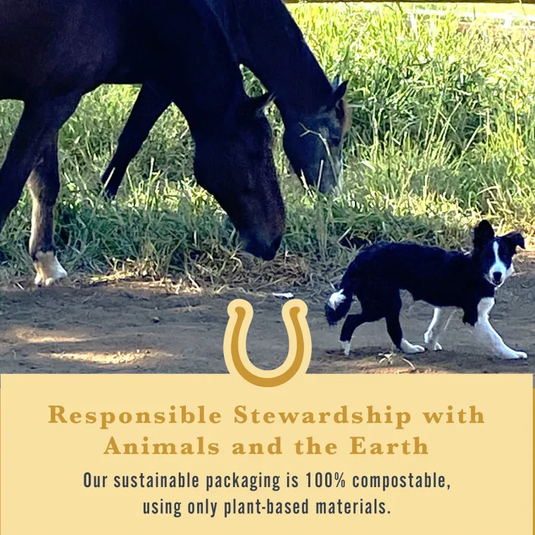 KVRPZDqr_3.webp Clearance WITHERS & WITHERS Sugar-Free Cinnamon Nutra-Treats for Horses