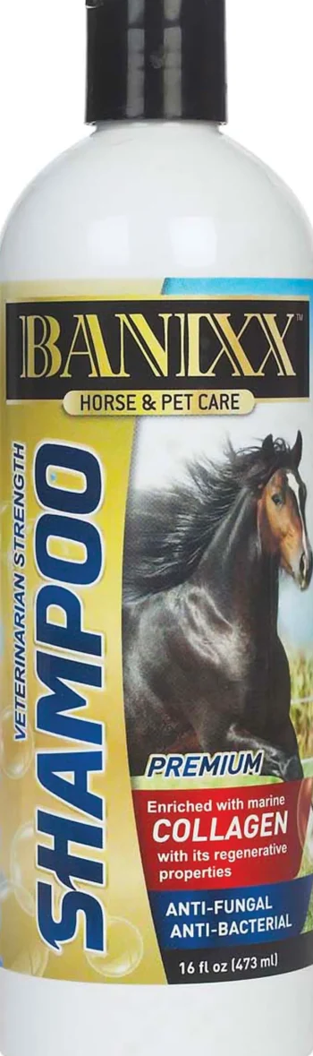 Sale ANIMAL HEALTH INT Banixx® Horse & Pet Care Medicated Shampoo with Collagen