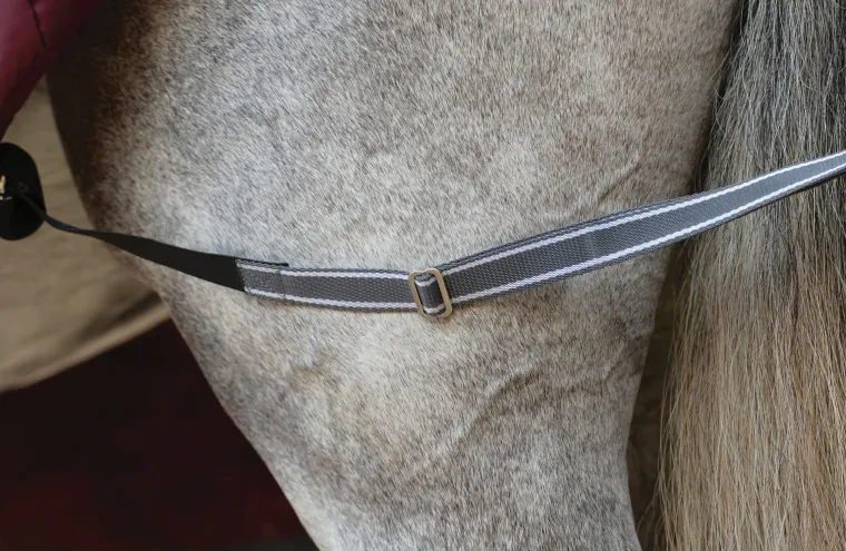 KjoMVjNr_3.webp New WEATHERBEETA ® ComFiTec™ Plus Dynamic II Standard Neck Medium-Weight Turnout Blanket Maroon/Grey/White