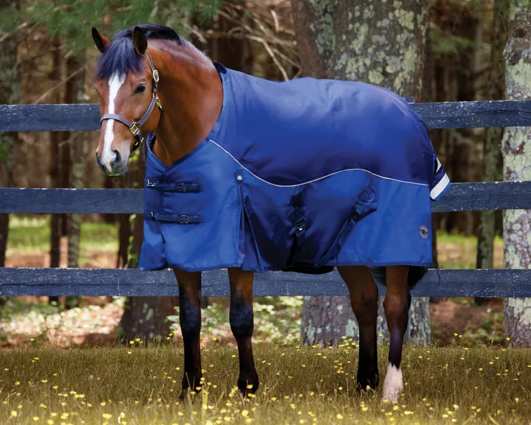KxrAhntM_2.webp New CWEAR BRANCH NorthWind™ Medium-Weight Turnout Blanket