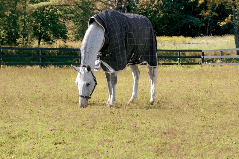KyGJiIZg_3.webp Sale HORSEWARE ® Ireland Rhino® Medium-Weight Wug with Vari-Layer®