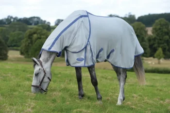 Online WEATHERBEETA ® ComFiTec™ Airflow II Detach-A-Neck Fly Sheet